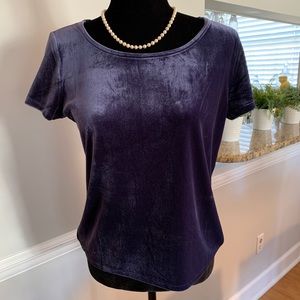 Velvet short sleeve top